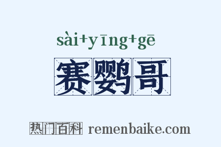赛鹦哥是什么意思的图片